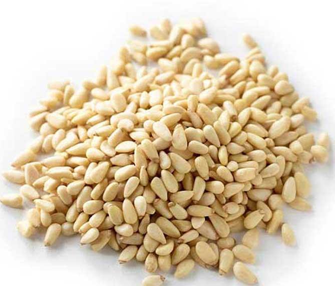 Bulk Open Pine Nuts in Shell at Competitive Prices