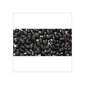 Haricots noirs à bas prix, destinés à la revente professionnelle et à l'approvisionnement commercial - Product Image 5