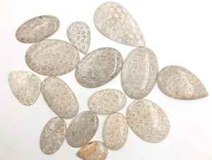 หินอัญมณีทรงหลวมและอัญมณีอัญมณีอัญมณีอัญมณีสีขาวปะการังฟอสซิลธรรมชาติทำด้วยมือขนาดตามสั่ง - Product Image 3