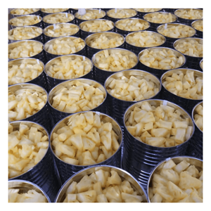 Piña enlatada de alta calidad 100% piña fresca natural/oferta caliente 2025 piña enlatada de Vietnam - Product Image 3