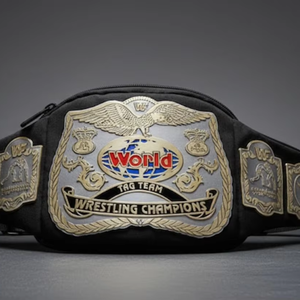 Ceintures de championnat FANNY PACK, sacs à fermeture éclair, sacs de protection pour ceintures - Product Image 1