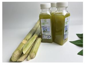 CANNE À SUCRE CONGELÉE DE HAUTE QUALITÉ ET DU PRIX LE PLUS BAS/PRODUITS TOP VENTE CHAUDE 2024 - Product Image 6