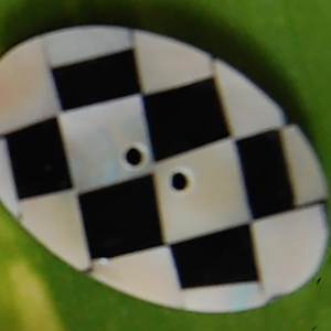 เปลือกหอยเครื่องประดับกระดุมดิบและขัดโมเสครูปไข่ที่มีลวดลาย - Product Image 2