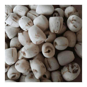 <b>Dried</b> Lotus Seeds natural lotus kernels prepared from <b>plant</b> material for snack mix production and culinary use from Vietnam - Product Image 4