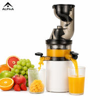 Commerciële slowjuicer voor fruit en groenten, hoge opbrengst sapcentrifuge voor thuiskeuken en straatverkopers