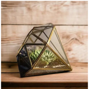 Terrarium géométrique en verre et en métal de qualité supérieure pour l'affichage de fleurs et la décoration de table Parfait pour les idées cadeaux - Product Image 1