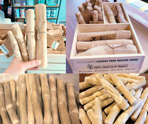กาแฟของเล่นไม้ WoodDog เคี้ยวรูปร่างกระดูก/ธรรมชาติเป็นมิตรกับสิ่งแวดล้อมกาแฟไม้สุนัขเคี้ยวแท่งสัตว์เลี้ยงเล่นของเล่น - Product Image 3