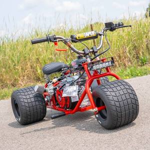 Mini-tricycle haut de gamme haute performance, livraison rapide, design audacieux, motorisé 800W 60V, 3 roues, ouvert pour passagers, Betty TGV - Product Image 4