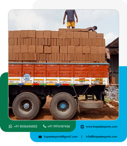 Bloque de turba de coco lavado de 5kg al por mayor, ideal para sistemas hidropónicos con embalaje desnudo conveniente, bloques de turba de coco lavados de primera calidad de 5kg - Product Image 5