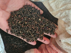 Poivre Sauvage Voatsiperifery de Madagascar Qualité Supérieure en Vrac Naturel Séché Poivre Noir VANILLE HARVEST 24 Herbes Simples Épices - Product Image 2