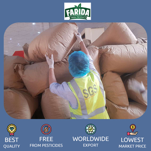 Exportador y proveedor líder de hojas de eneldo secas egipcias de especias individuales de buena calidad para compradores mayoristas al mejor precio - Product Image 5