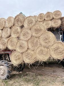 ROLLOS DE PAJA DE ALTA CALIDAD SOLUCIÓN DURADERA Y ECOLÓGICA PARA MÚLTIPLES USOS - Product Image 5