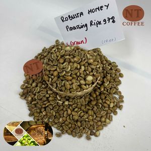 น้ำผึ้งโรบัสต้าจากเวียดนาม S18ถั่วเขียว97% ฟาร์มยั่งยืนส่วนกลางไฮแลนด์ชุดบริการฉลากส่วนตัว - Product Image 5