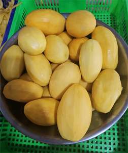 Mango congelado de Vietnam medio corte dulce mango alto Brix, calidad de exportación IQF, envasado al vacío-Caryln 0084935825297WA - Product Image 6