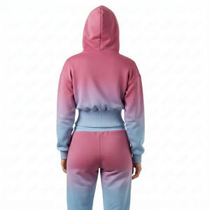 Wholesale Ladies Oversized Sleeves Cropped <b>Top</b> Hoodies Wide <b>Elastic</b> Waistband Baggy Fit Blank Cotton Fleece Streetwear Hoodies - Product Image 3