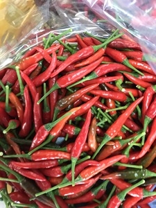 Hot Bán Đông Lạnh Ớt Việt Nam/Ớt Đỏ/Tươi Gia Vị Chất Lượng Cao Tại Giá Bán Buôn - Product Image 3