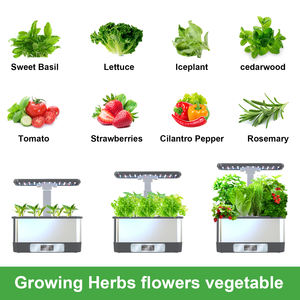 Système de jardin hydroponique intérieur intelligent avec lumière de croissance LED, contrôle par application <span class=keywords><strong>WiFi</strong></span>, pompe à eau et écran tactile pour herbes et légumes - Product Image 4