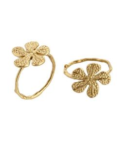 New Metal <b>Napkin</b> <b>Ring</b> Holy Leaf Design Gold Plated Metal Christmas <b>Napkin</b> <b>Ring</b> In Wholesale Price Christmas tabletop <b>Napkin</b> <b>Ring</b> - Product Image 3