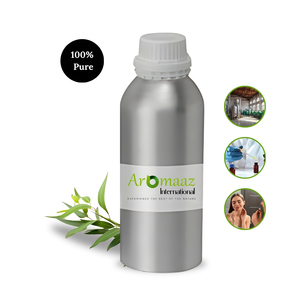 Manufacturer Eucalyptus Blue Malle Pure Essential Oil for Skin Care and Aromatherapy-Direct From India Wholesaler - Product Image 3
