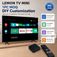 Boîtier TV Lemon TV Mini Android 12 H618 2 Go 16 Go 4K 5G Double Wi-Fi 6 BT5.4 IATV 1 pièce MOQ Personnalisation de l'interface utilisateur CMS Gestion des appareils Boîtier OEM