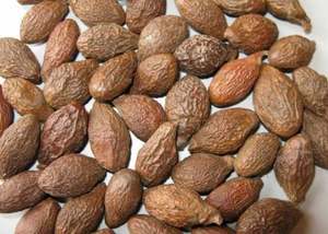 Ms psophilie — écrou malva séché de meilleure qualité, livraison rapide - Product Image 3