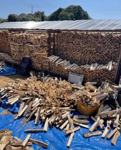 High Quality Dried Square Red Oak Ash Pine Birch Firewood <b>Logs</b>. - Product Image 2