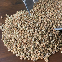 Café Vert Robusta de Haute Qualité 100% du Vietnam, Fabricant ODM, Saveur Chocolat, Traitement au Miel, Marque Sinh Nguyen