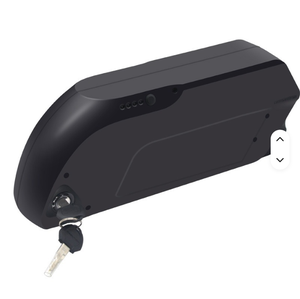 Batteria agli ioni di litio LiFePO4 universale da 48V 20Ah per E-Bike/Scooter Elettrico con caricabatterie BMS, 1000 cicli - Product Image 1