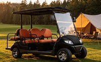 Carrito de Golf de 4 Plazas A617.4, Vehículo de Recreo para Picnic al Aire Libre, Ideal para Campamentos