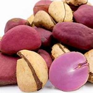 Garcinia kola sain Noix de cajou crues et séchées Noix de kola amère - Product Image 1