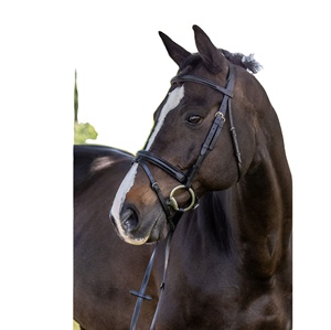 Plain Raised <b>Dressage</b> Bridle - Product Image 1