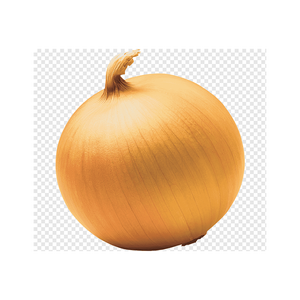 Nouvelles récoltes d'oignons jaunes, légumes frais, vente en gros d'oignons frais - Product Image 4