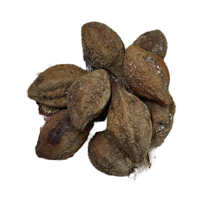 เทอร์นาเลียเชบูลาผลไม้แห้งจากธรรมชาติปลูกในป่า - Product Image 4