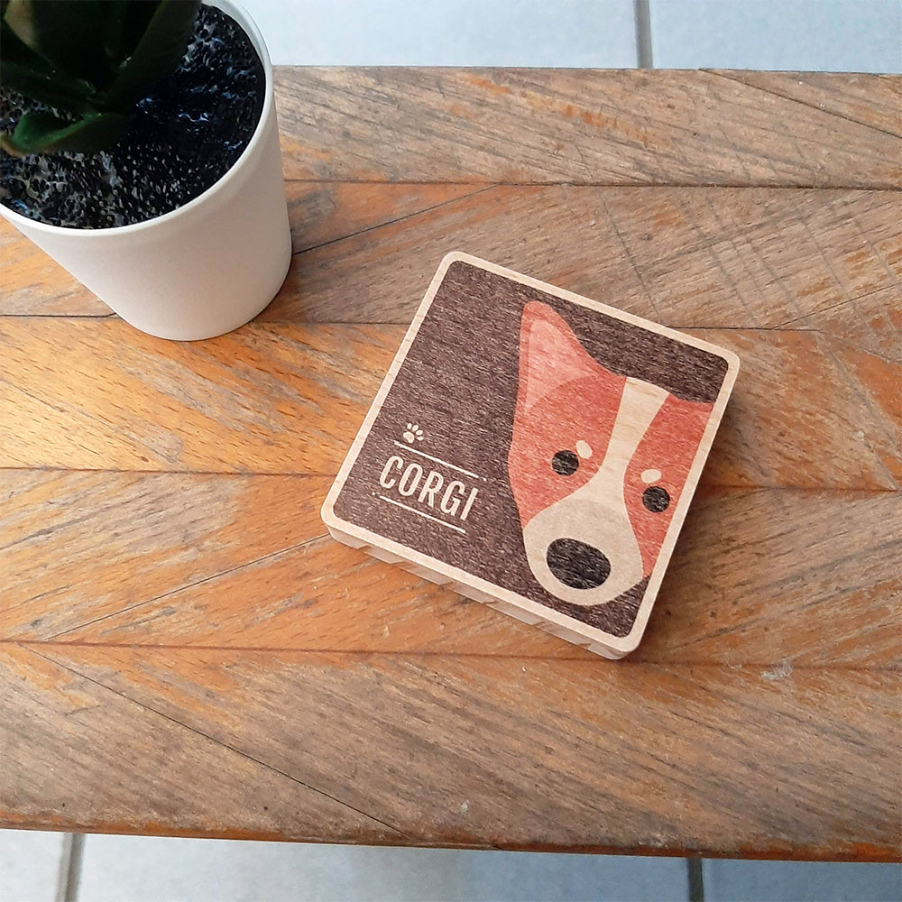 Corgi