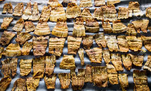 หน่อไม้แห้งสำหรับผักแห้ง - Product Image 4