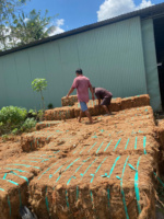 Bale Serat Kelapa Berkualitas Tinggi Ramah Lingkungan Terlaris, Blok Serat Kelapa Kering Alami Coklat Grade AA Pertanian Vietnam