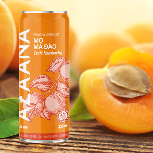 Bebida de té Kombucha buen precio melocotón albaricoque vitamina buena venta al por mayor embalaje personalizado del fabricante de Vietnam - Product Image 1