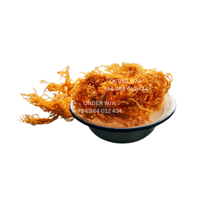 สัมผัสประโยชน์ของมอสทะเลบริสุทธิ์100%: มอสทะเลไอริชสีทอง, งานฝีมือในป่าและมีจำหน่ายในราคาขายส่ง - Product Image 1