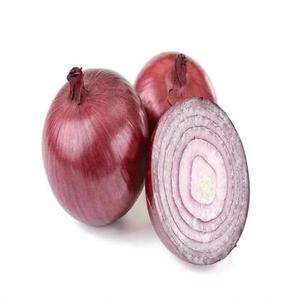 Fresh <b>Red</b> Onion Whole <b>Bulb</b> Aromatic Vegetable for Retail Grocery and Food Service - Product Image 3