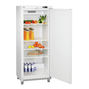 600 WSTL <b>Refrigerator</b> - Product Image 1