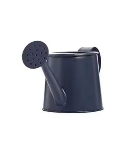 Arrosoir Plantes de jardin intérieures et extérieures Arrosoir Meilleure vente Conception avantageuse Galvanisé - Product Image 5