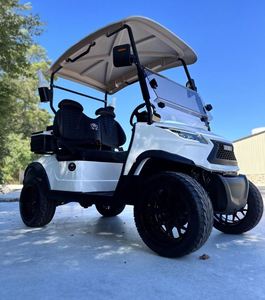 Carrito de Golf Eléctrico de 2 Plazas, Todoterreno, con Suspensión Alta, Vehículo Compacto para Pasajeros en Venta - Product Image 5