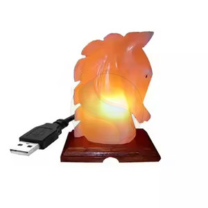 Lámpara de sal con forma de caballo OEM artesanías naturales de precio superior de Pakistán para la venta en línea - Product Image 1