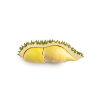 Premium Vietnamese verse durian voor export en groothandel