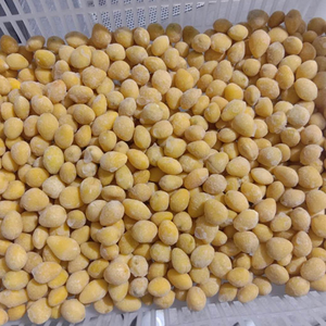 Nueces de Ginkgo Orgánicas Peladas y Secas al por Mayor para Alimentos, Producto Económico para Compra a Granel en Venta - Product Image 2