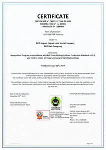 Extensions de cheveux Lace Front en cheveux humains Remy vietnamiens, pré-épilées, pour femmes, usage quotidien, qualité salon, direct usine, longues - Product Image 6