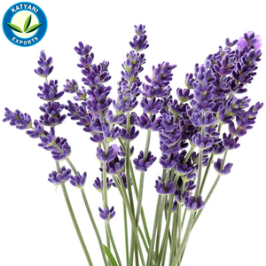 Parfum de lavande pour huiles de massage - Product Image 1