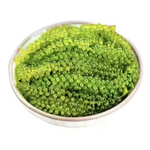 องุ่นทะเลตากแห้ง/คาเวียร์สีเขียวยอดนิยมใน2025 - Product Image 4