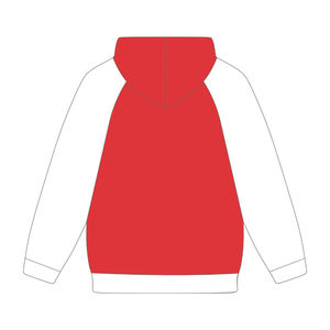 HBCU Educated <b>Red</b> DST Raglan Sleeve <b>Hoodie</b> Chenille Embroidery Greek Sorority Delta Divine Nine Collegiate Fashion <b>Hoodie</b> - Product Image 3