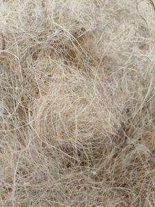 Meilleures ventes de fibres de coco naturelles, bloc de coco écologique, fibres de coco de qualité supérieure, prix de gros, balles de cocofibre - Product Image 5
